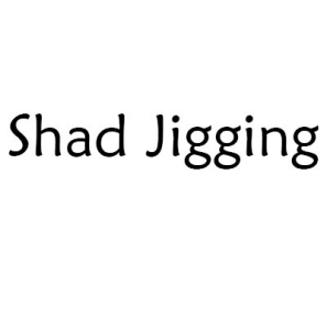 Shad Jigging